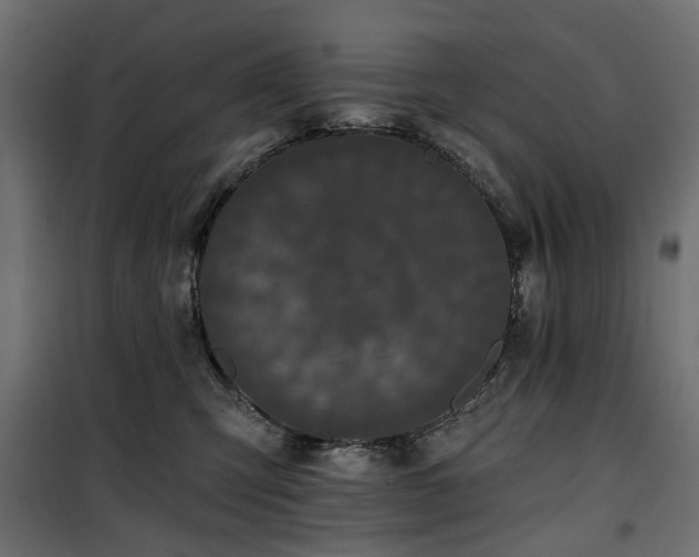 X0000100870423200806201245