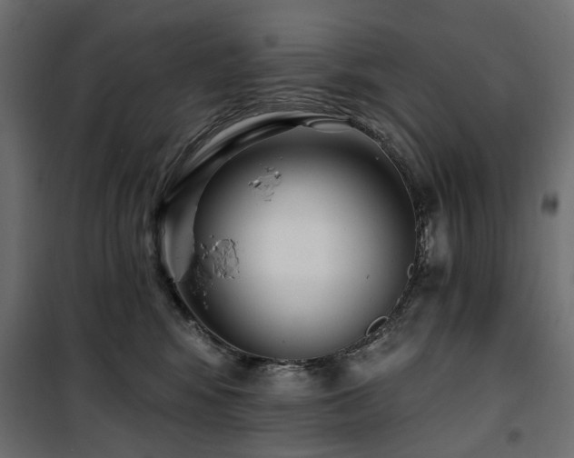 X0000100870424200806201245