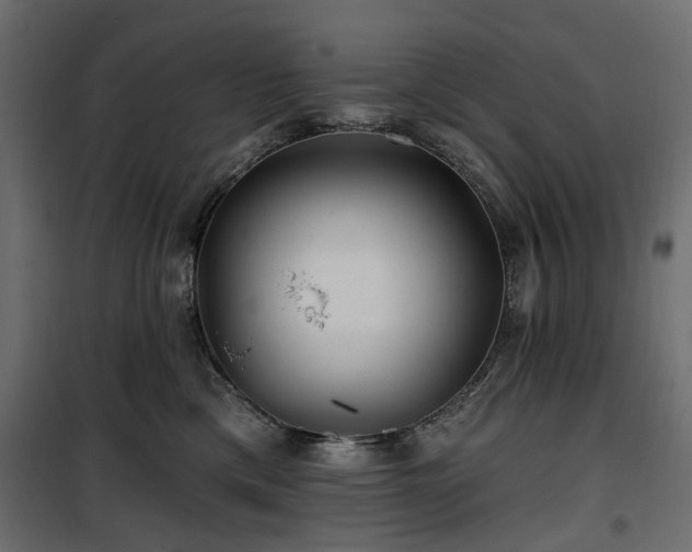 X0000100870425200806201245