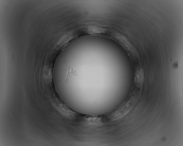 X0000100870426200806201245