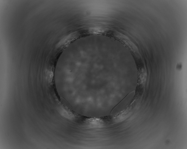 X0000100870427200806201245