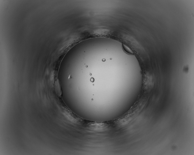 X0000100870428200806201245