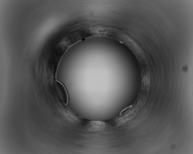 X0000100870429200806201245