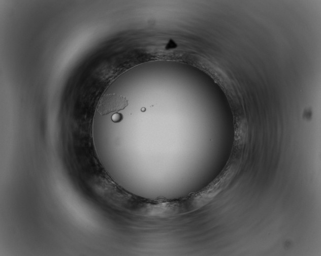 X0000100870430200806201245