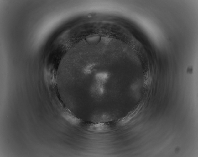 X0000100870431200806201245