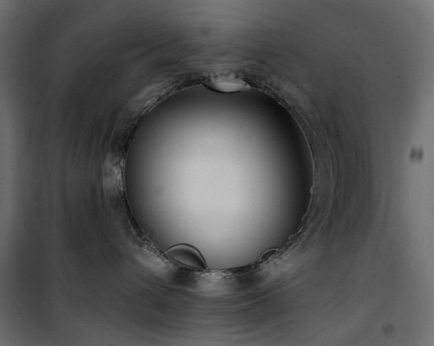 X0000100870432200806201245