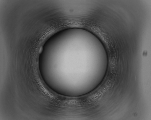 X0000100870433200806201244