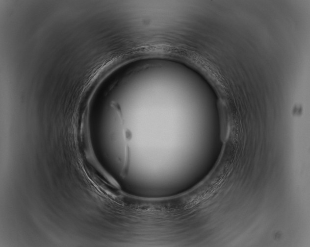 X0000100870434200806201244