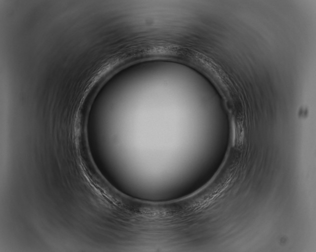 X0000100870435200806201244