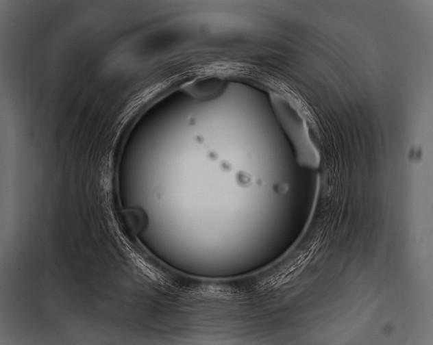X0000100870437200806201244