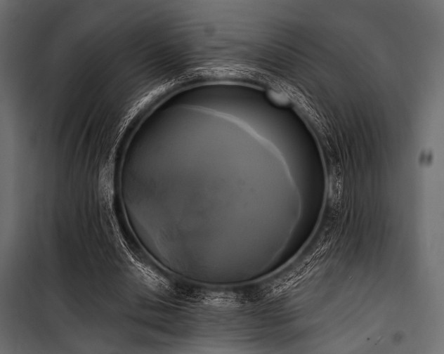 X0000100870438200806201244