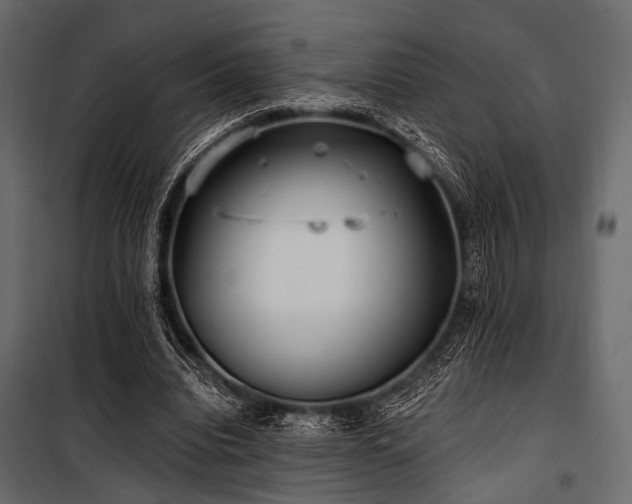 X0000100870440200806201245