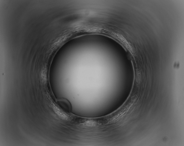 X0000100870441200806201245