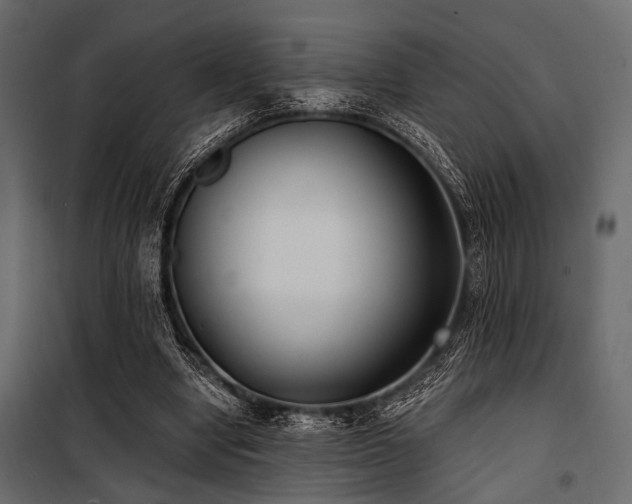 X0000100870442200806201245