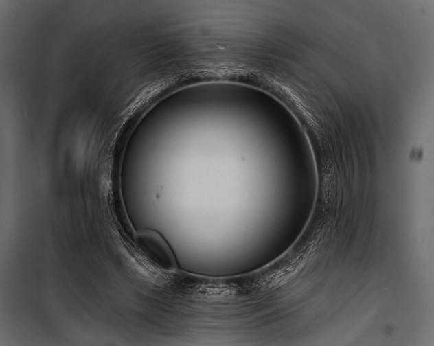 X0000100870443200806201245