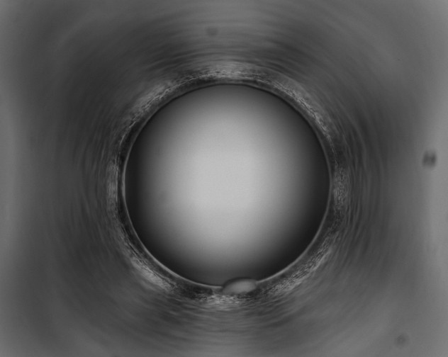 X0000100870445200806201245