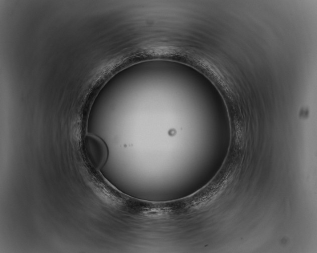 X0000100870447200806201245