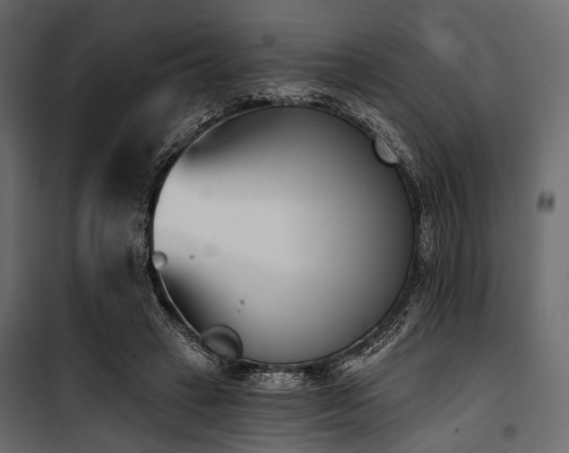 X0000100870449200806201245
