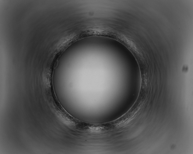 X0000100870450200806201245