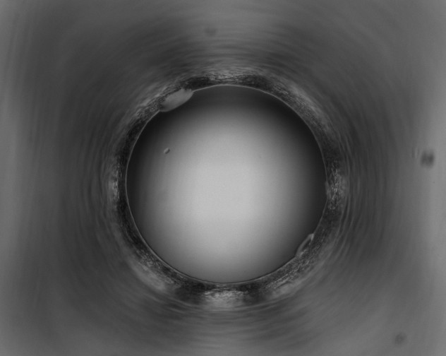 X0000100870452200806201245