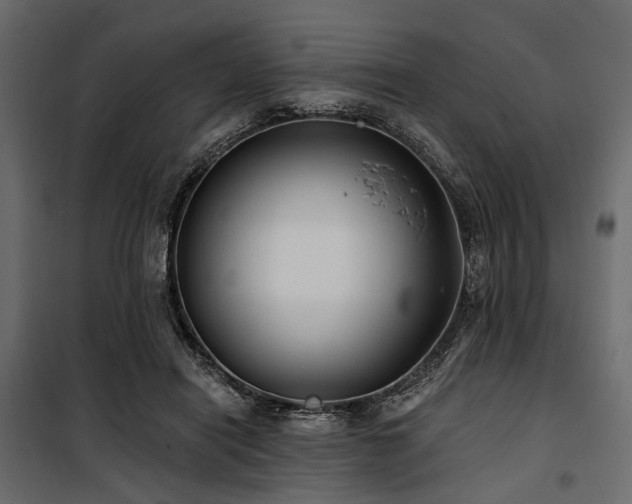 X0000100870454200806201245