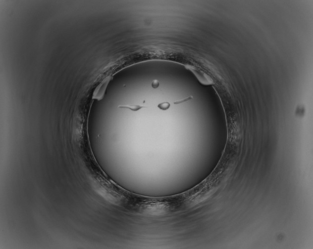 X0000100870456200806201245