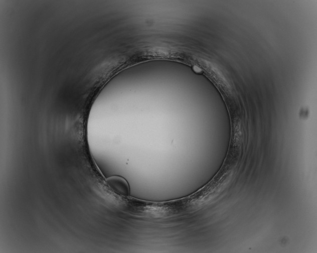 X0000100870457200806201245