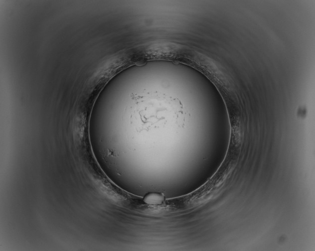 X0000100870458200806201245
