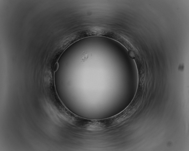 X0000100870459200806201245