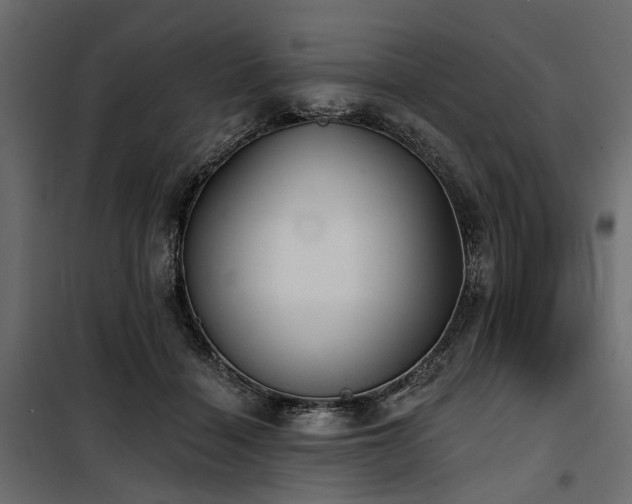 X0000100870460200806201245
