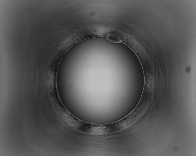 X0000100870461200806201245