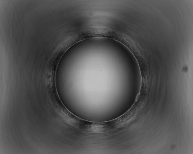 X0000100870462200806201245