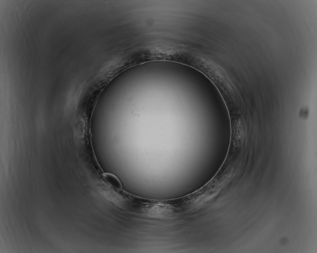 X0000100870463200806201245