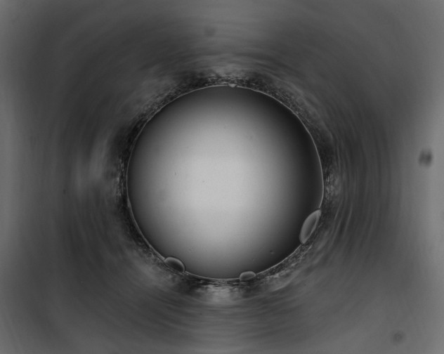 X0000100870464200806201245