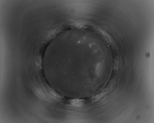 X0000100870465200806201245