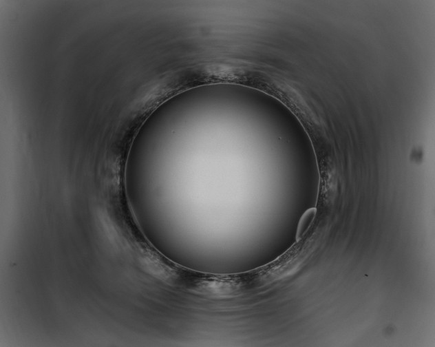 X0000100870466200806201245