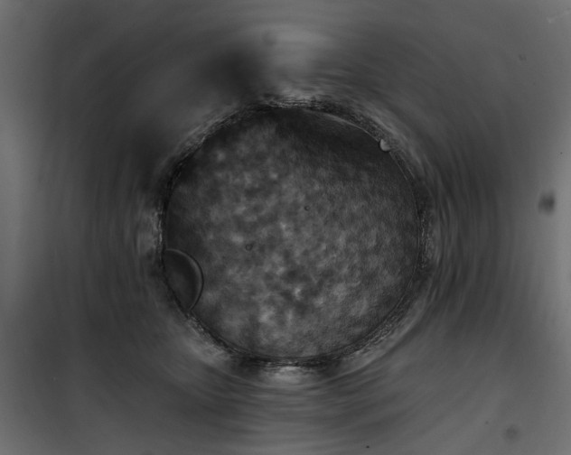 X0000100870467200806201245