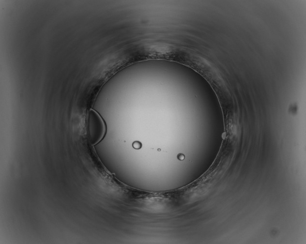 X0000100870468200806201245