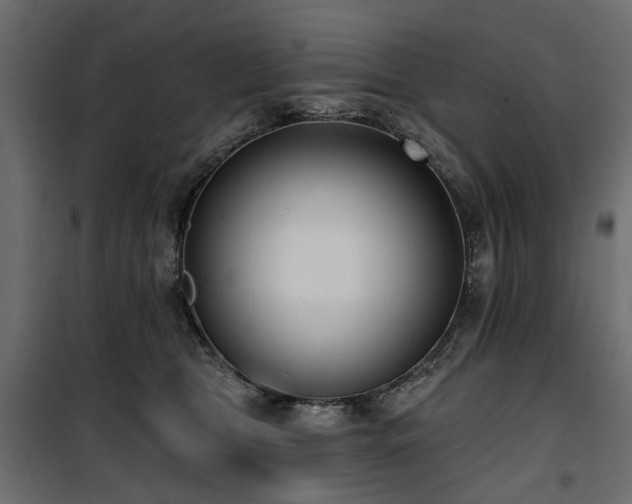 X0000100870469200806201245