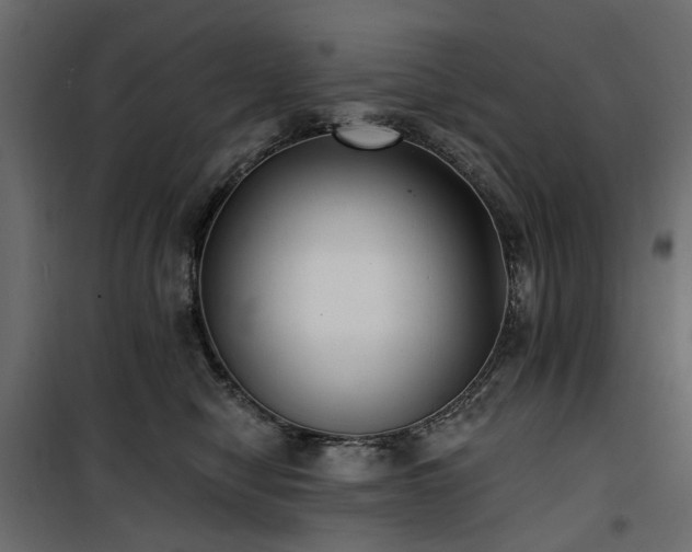 X0000100870470200806201245