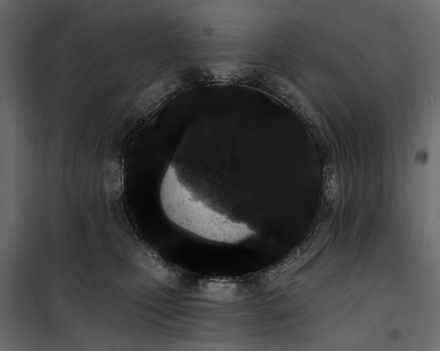 X0000100870471200806201245