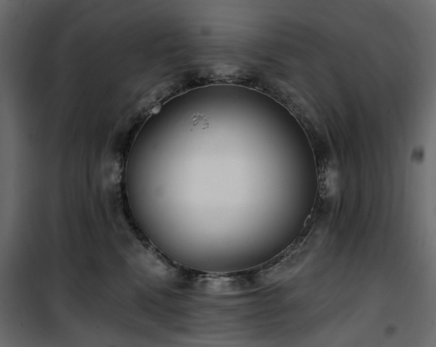X0000100870472200806201245