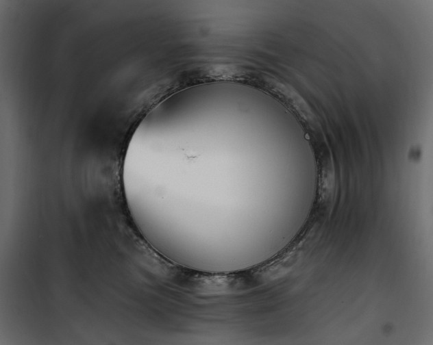 X0000100870473200806201245