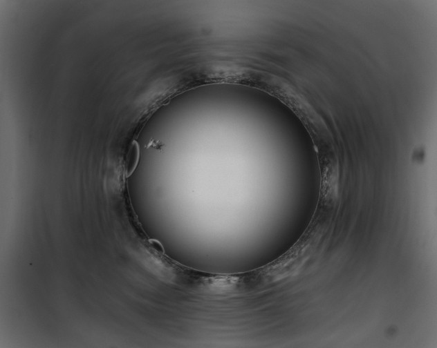 X0000100870474200806201245