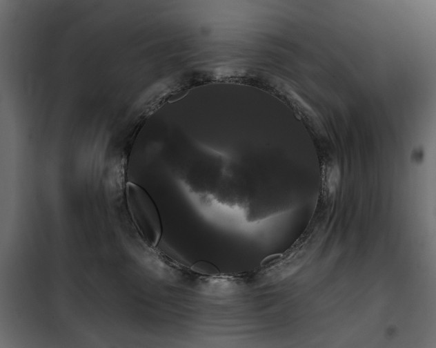 X0000100870475200806201245