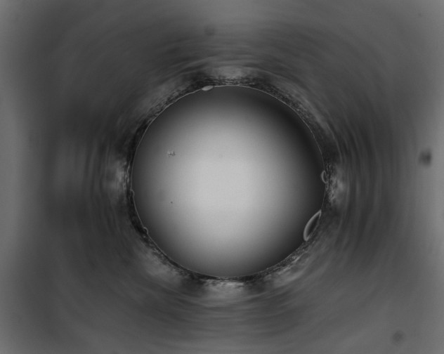 X0000100870476200806201245