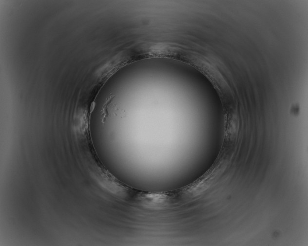X0000100870478200806201245
