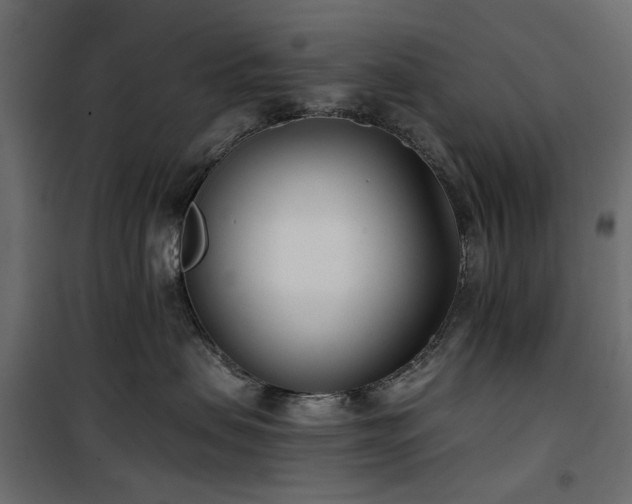 X0000100870479200806201245