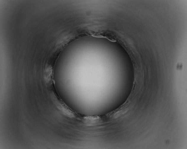 X0000100870480200806201245