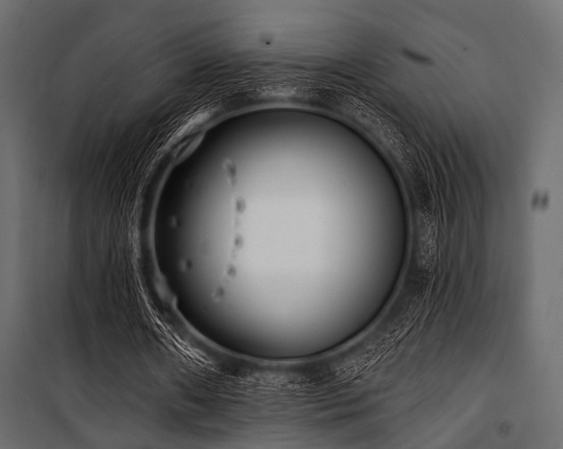 X0000100870482200806201244